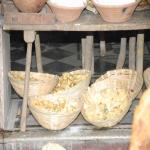 Vraj-Yatra-2014- (1062)